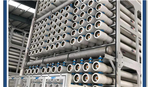Characteristics of China's Membrane Separation Industry